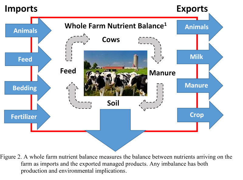 Nutrient Import and Export