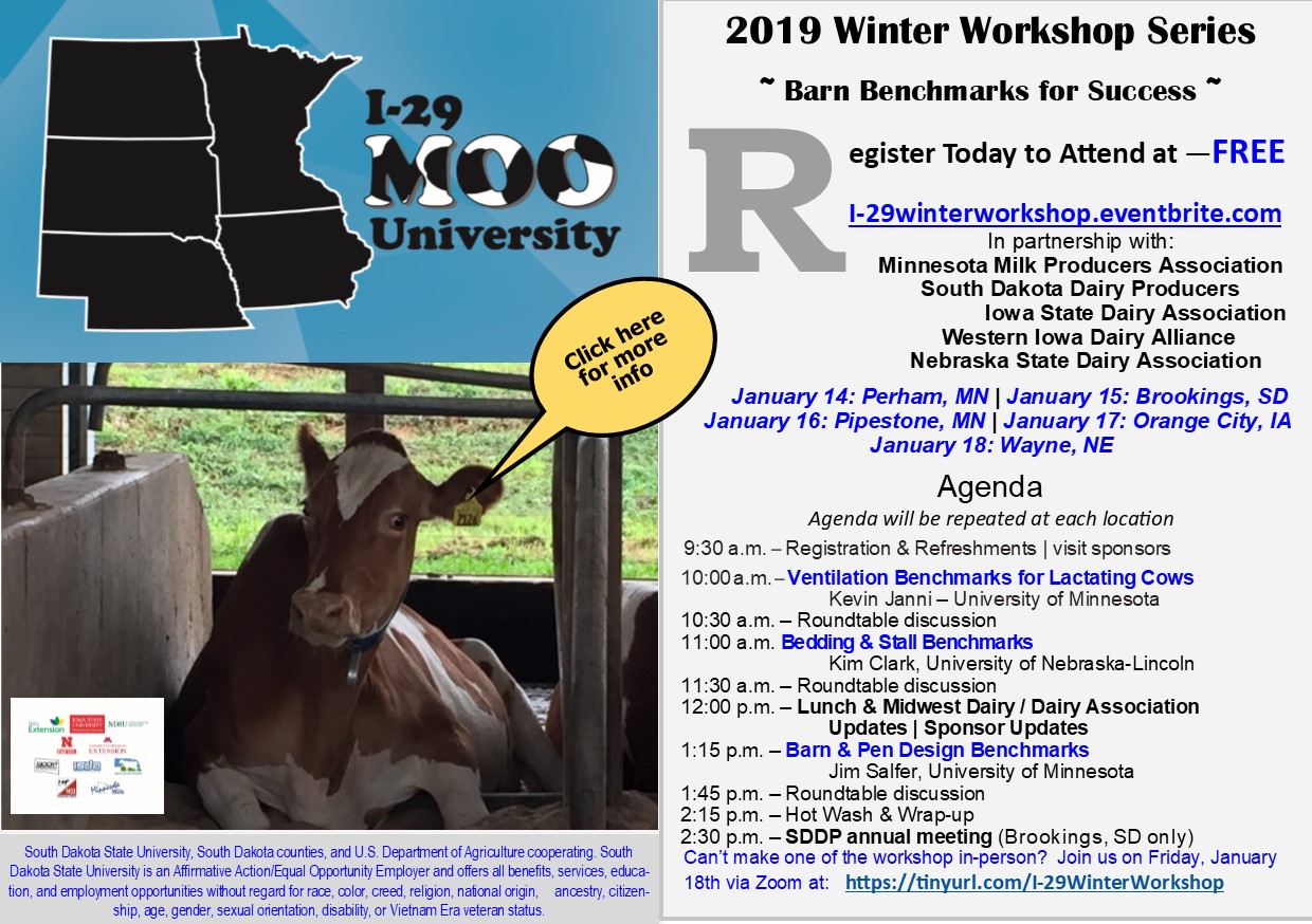 2019 Winter Workshop series flyer