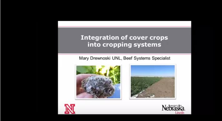 Cover crops webinar