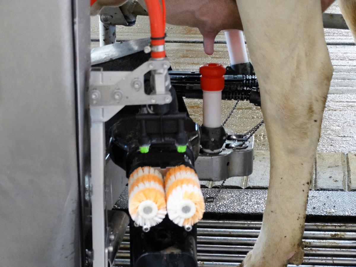Robotic milking system