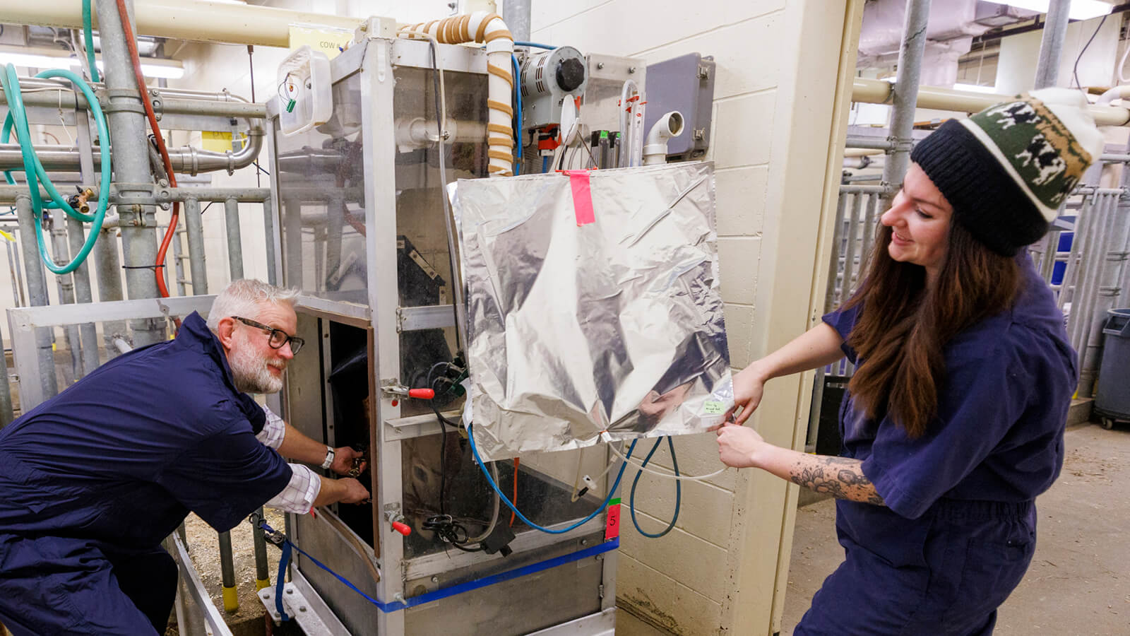 Paul Kononoff, Professor of Animal Science, left, and graduate student Addison Carroll, hook up Lila, a 10-month-old jersey cow in the portable booth where her breath will be measured and sampled. Kononoff is measuring methane gas produced by cattle. To measure the gas, a cow is surrounded by a phone-booth like structure where the cow eats and drinks as the air is collected and sampled. December 15, 2023. Photo by Craig Chandler / University Communication and Marketing.