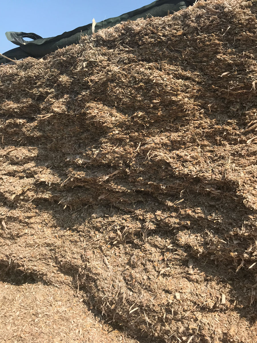 A pile of corn silage