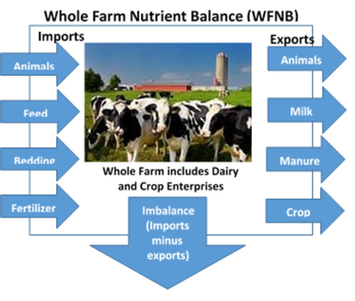 Whole Farm Nutrient Balance Infographic